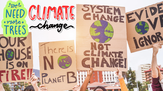 Climate Change: A Global Threat to Our Planet