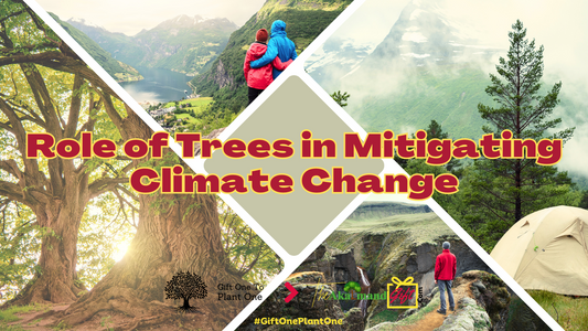 The Vital Role of Trees in Mitigating Climate Change