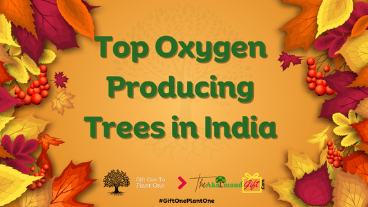 Exploring the Top Oxygen Producing Trees in India